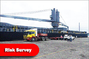 Risk Survey Services by Malayan Adjustment Company