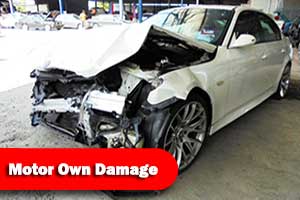 Loss Adjuster for Car Damage