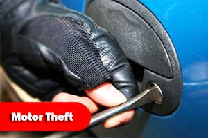 Loss Adjuster for Motor Theft in Malaysia